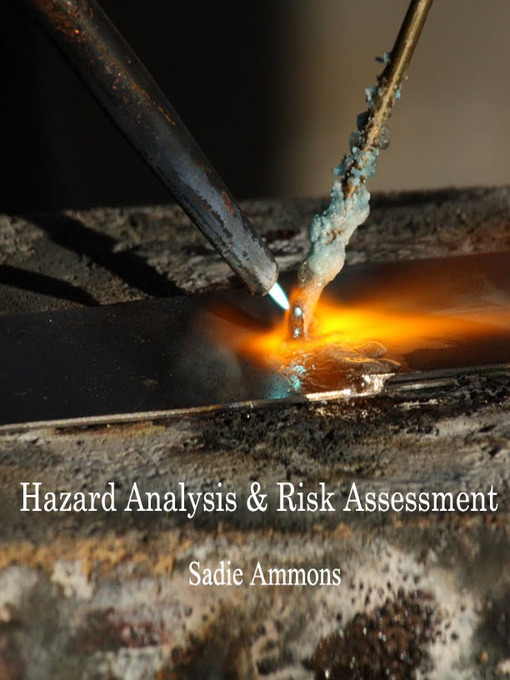 Title details for Hazard Analysis and Risk Assessment by Sadie Ammons - Available